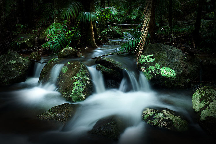 Creek, Tamborine National Park, Queensland Australia