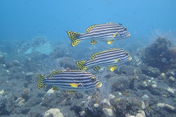 P7170948