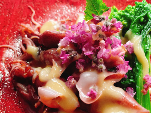 可愛いホタルイカちゃん💕