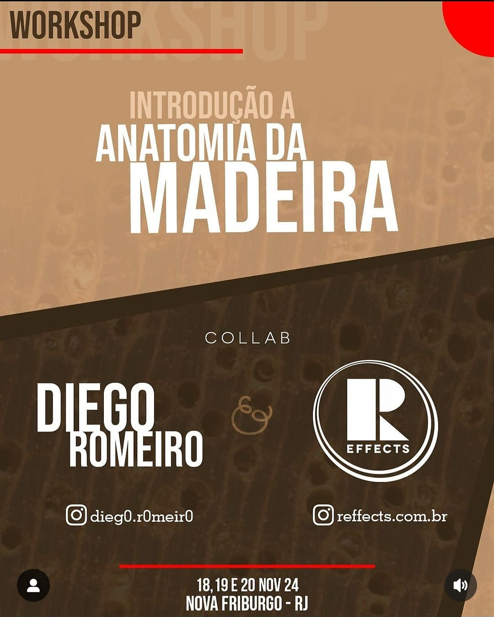 Workshop - Nova Friburgo