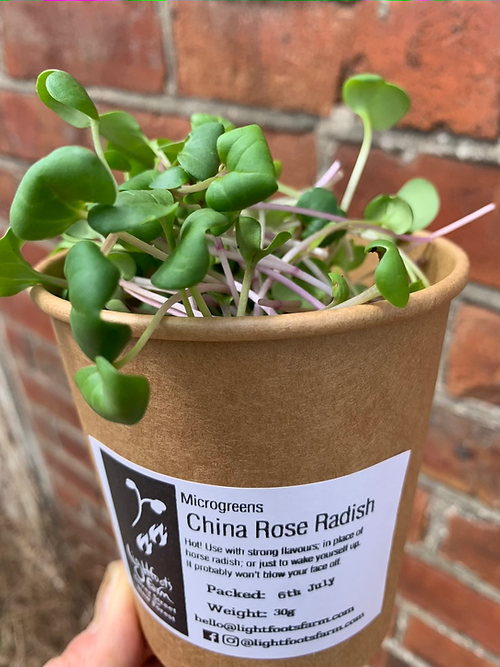 China Rose Radish 30g