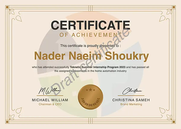 Teknetic summer internship program certification