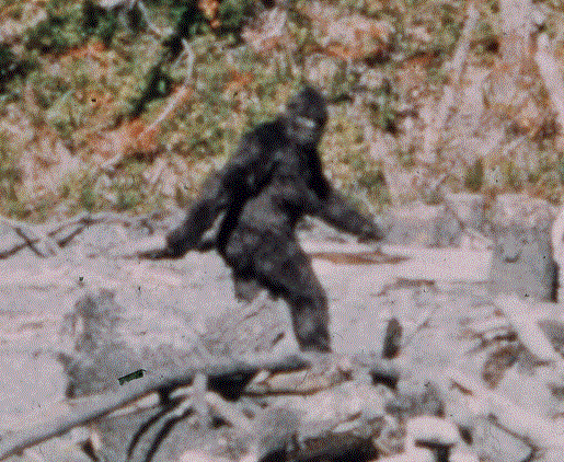 2019 SEMINARS BIGFOOT IN THE WILD EXPERT