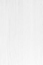 white wood grain vertical background.jpg