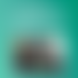 Do efêmero ao sólido: uma história de novos começos