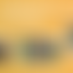 Da Terra Nascem Protagonistas: trajetórias, desafios e conquistas (parte 1)