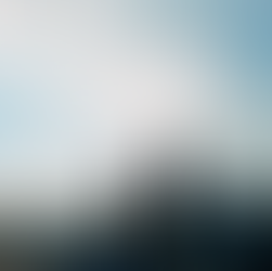 Relatório de Atividades e Impacto 2021