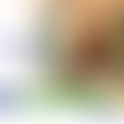 Como desenvolver a capacidade de adaptação em um mundo marcado pela incerteza?