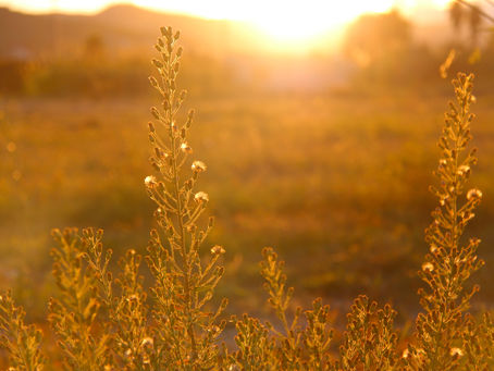 Mitt första inlägg
