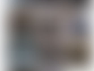  Sophie’s BOAS journey: a real-life account from Bonnie and Reggie