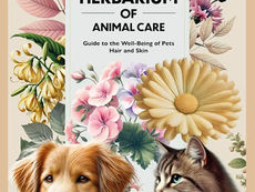 Clay and Animal Wellbeing: When Earth Becomes a Natural Healer 