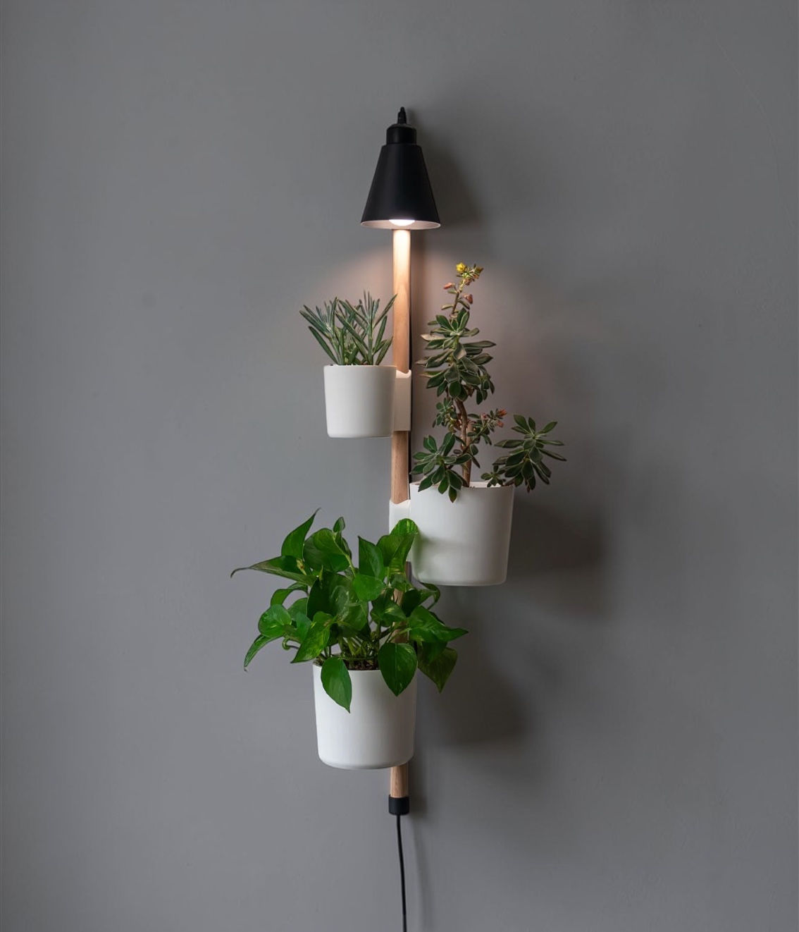 Minimalist Pendant Lamp