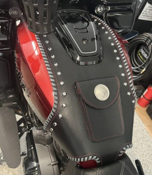 Indian Challenger and Pursuit Custom Large Tank Guard