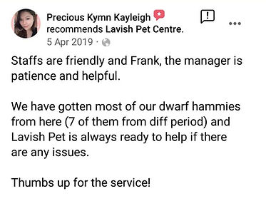 Hamster Testimonials.jpeg