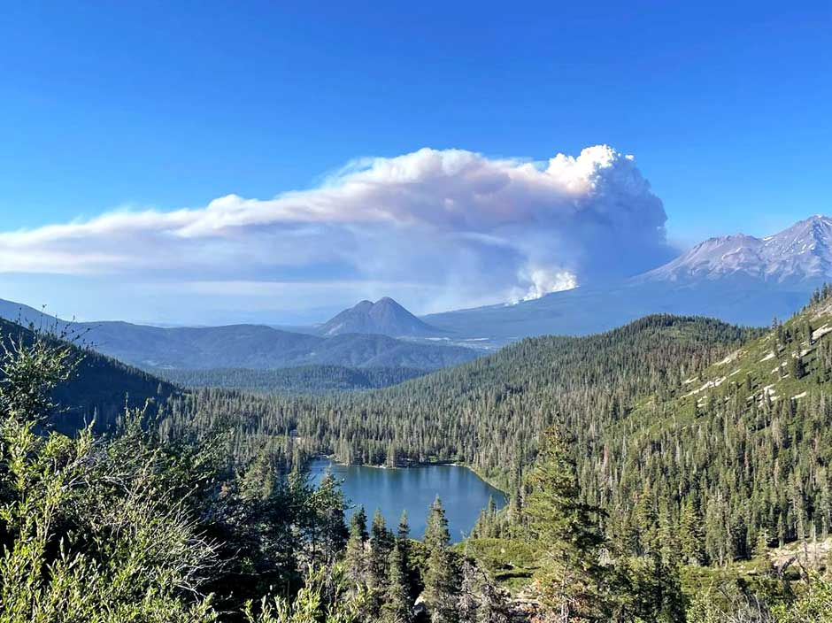 Wildfire smoke alters a lake’s ecology from the top to the bottom of the food chain