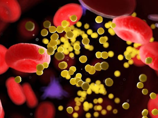 A verdade sobre o colesterol