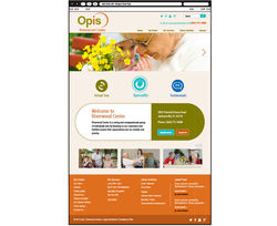 Opis Center Website