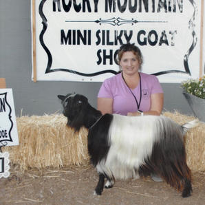 MCH Big Sky Silkies Pride