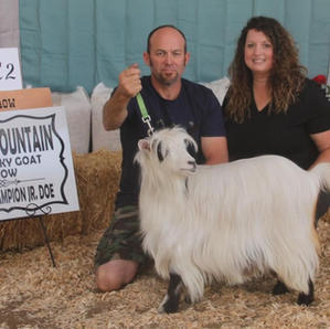 Grand Champion Jr Doe Big Sky Silkies Cutie Pie