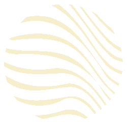 LISTRAS GIF.gif
