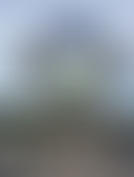 Isla del Fuego- SIQUIJOR