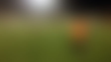 Inicio de la Gran Liga de Apertura