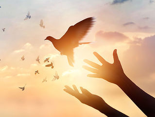 Forgiveness Under Fire