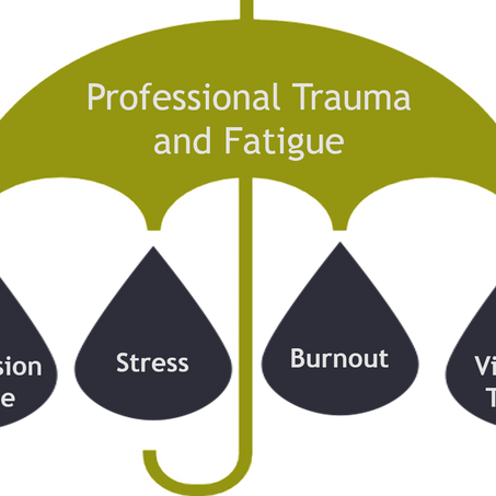 What is Professional Trauma and Fatigue?