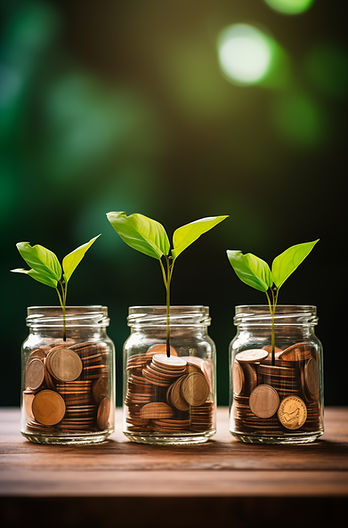 photorealistic-money-with-plant.jpg