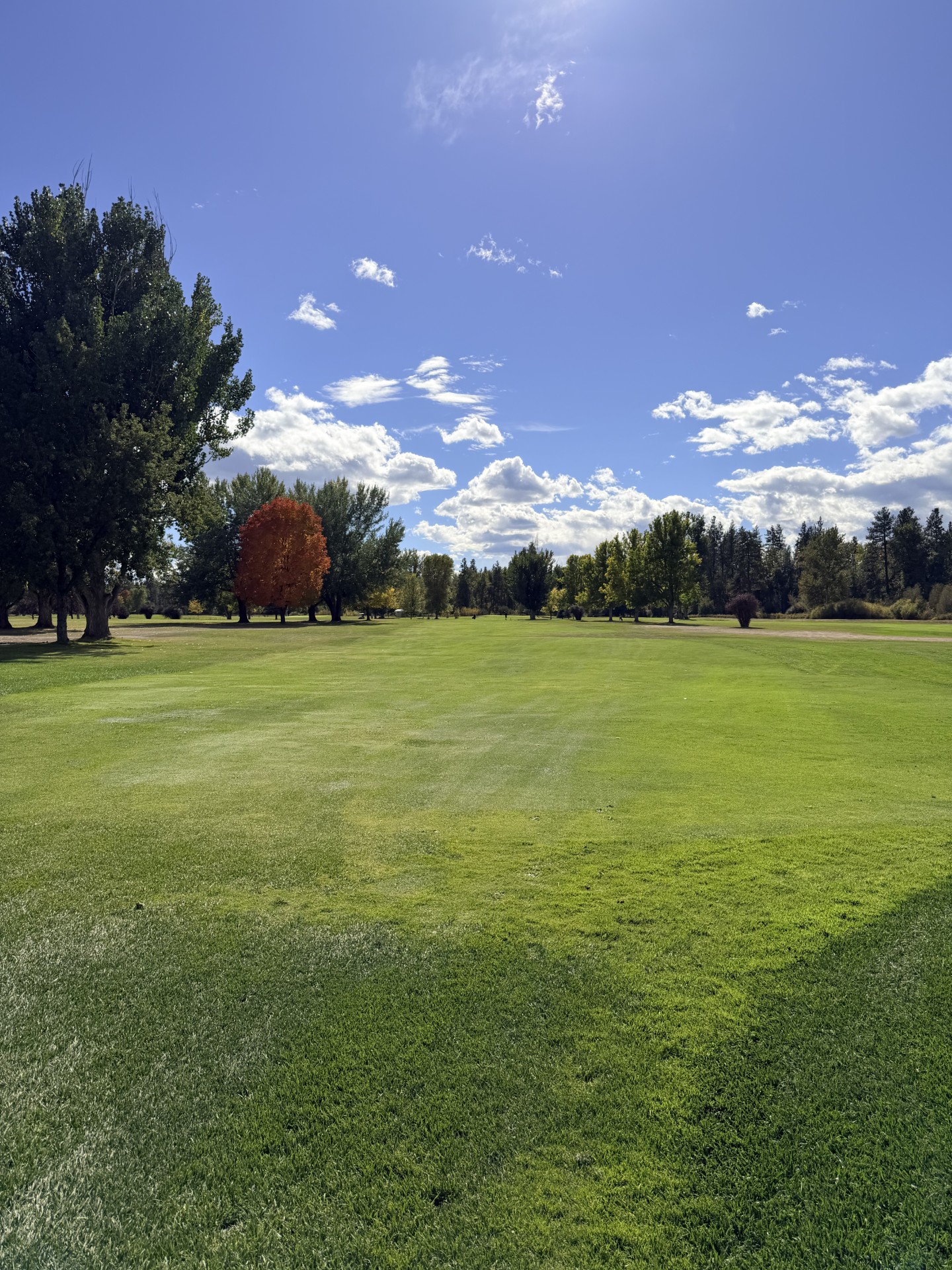 Whitetail Golf Course logo