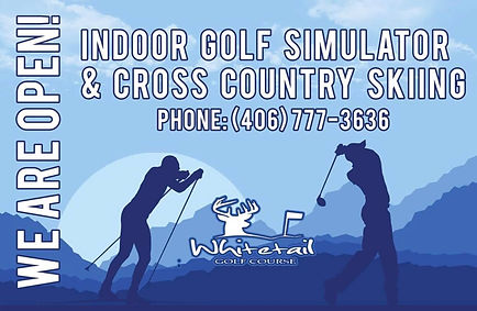 cross-country-ski-and-simulator_1_orig.jpg