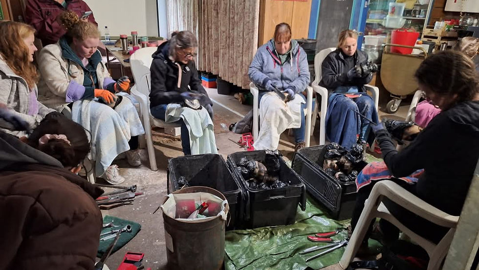 external-file_edited