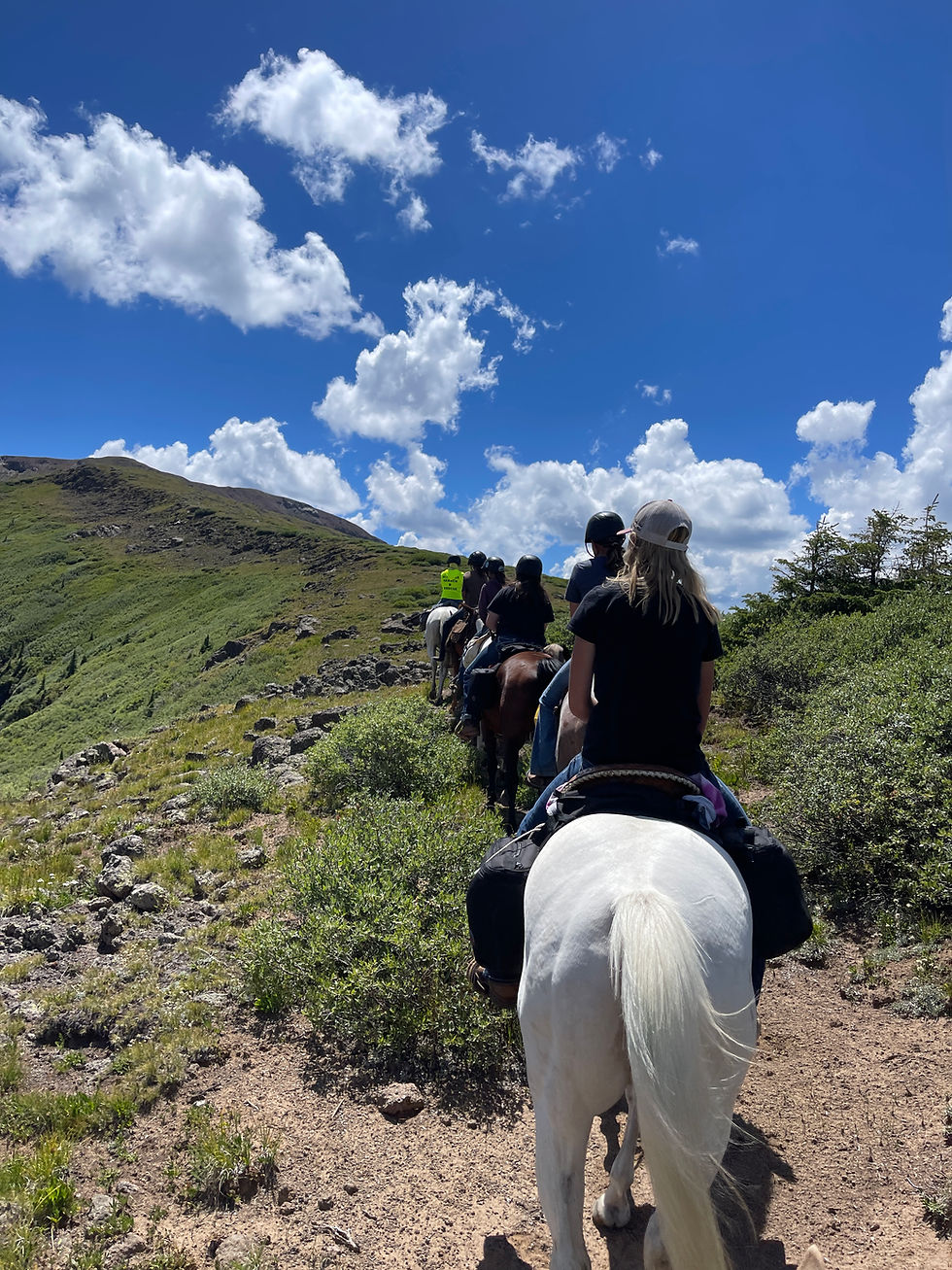 Eye-level view of a horse and rider on a forest trail