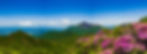 AdobeStock_208066249.jpeg
