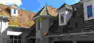 images-3.jpeg