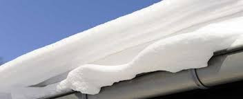 roof with snow 2.jpeg