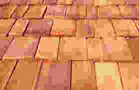 images.jpeg