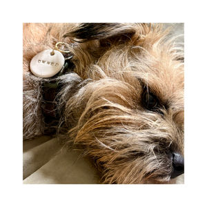 Border terrier with handmade ceramic dog tag bespoke