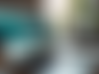 Webseiten erstellen: Online Präsenz erfolgreich gestalten