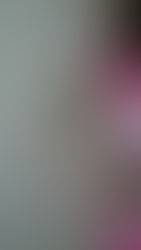 2013/12/22(Sun) 20:17