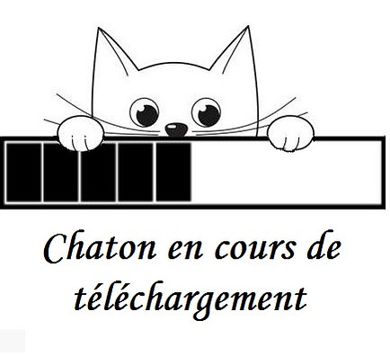 Projets en cours - Copie.JPG