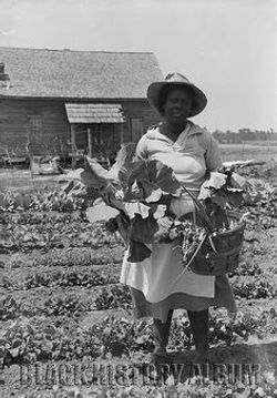 african american women farmer 2.jpg