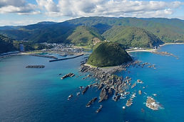 ひとり親移住　土佐清水市