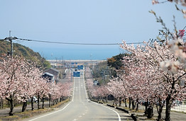 ひとり親移住　国東市