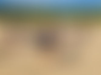 Oleron Summer Camp 7