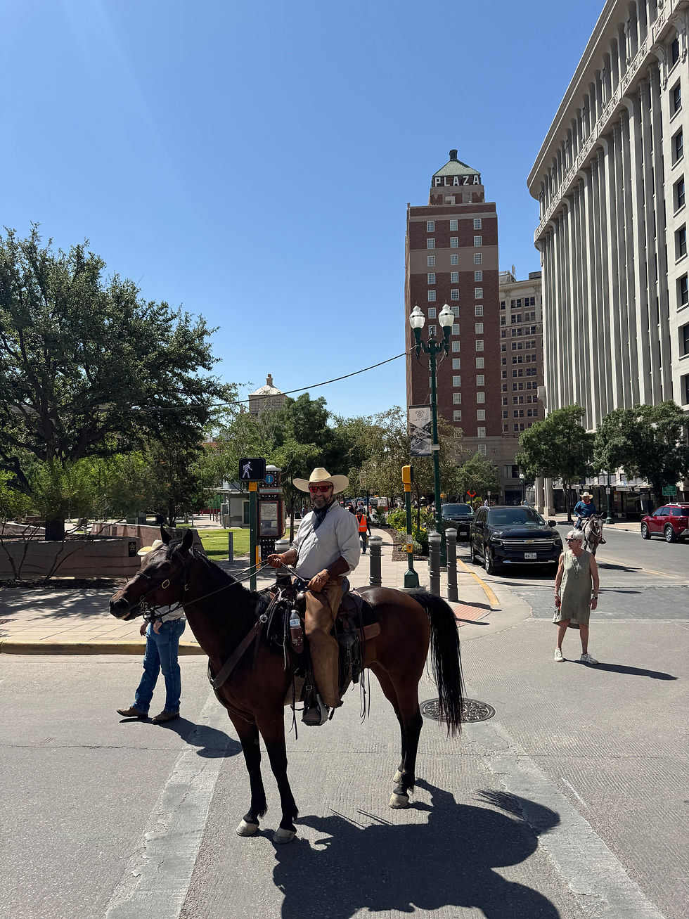 Saddle Days