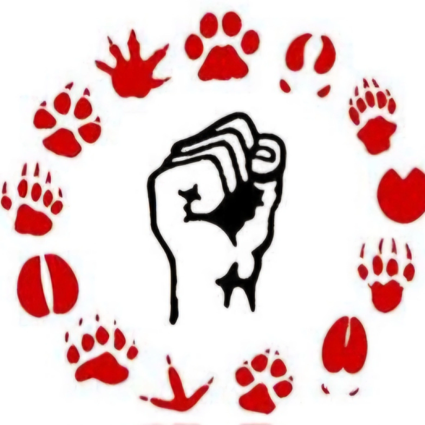 Foto do escritor: Muhammad Al Nur