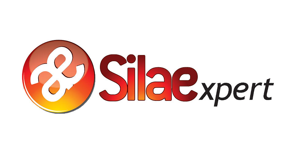 logo-silae-fdp.png