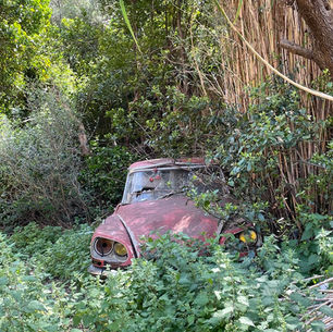 La Palme