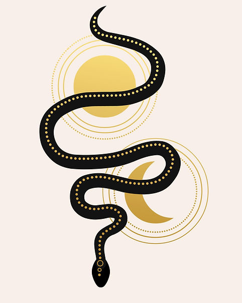 WhatsApp Image 2025-08-21 at 16.57.36.jpeg